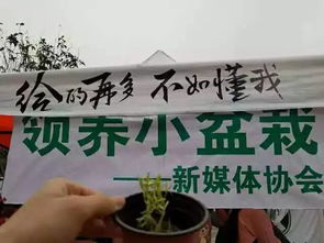 文化傳播類 新媒體協(xié)會